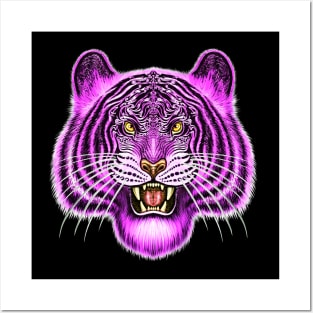 Tiger bengal tiger Siberian tiger big cat Posters and Art